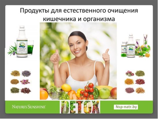 Очищение организма по системам Нижегородцева О. В.