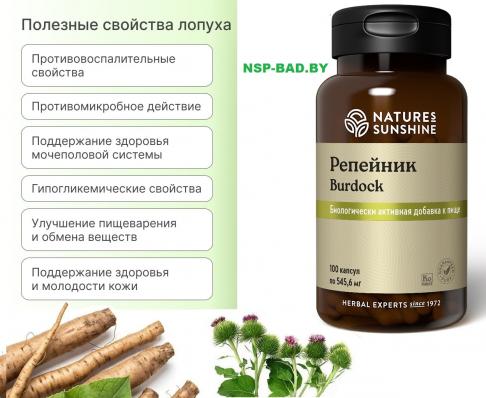 repeynik-burdock-100-kapsul-bad