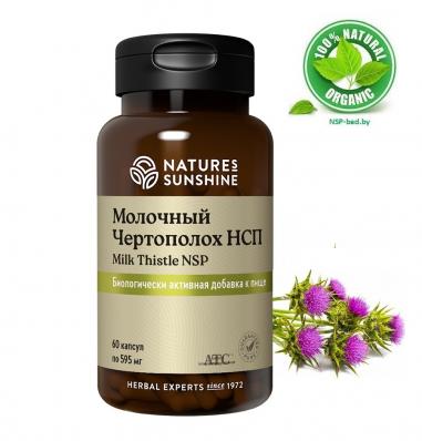 Milk Thistle NSP